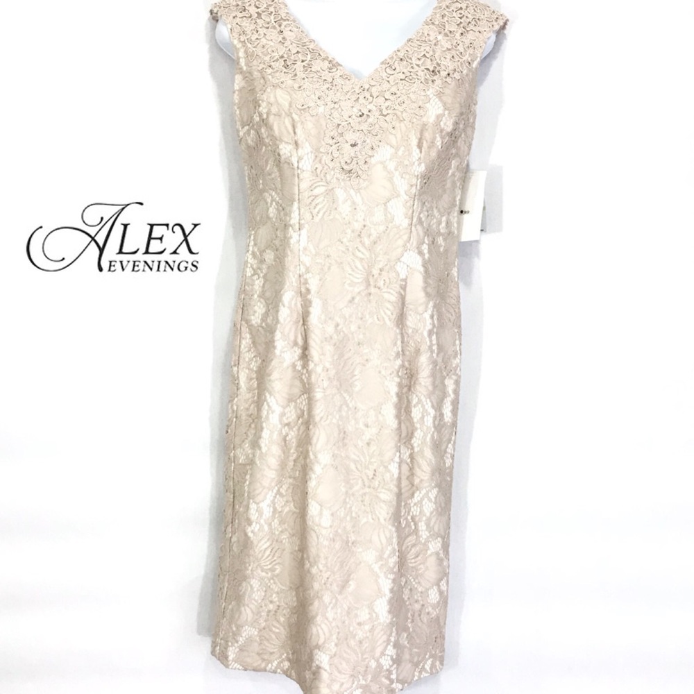 Alex Evenings Porcelain Mother of the Groom Dress